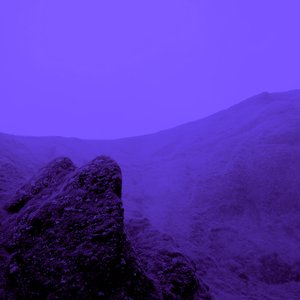 There Are Gardens in The Abyss