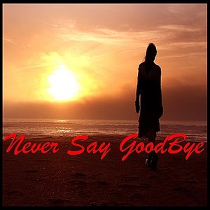 Never Say Goodbye