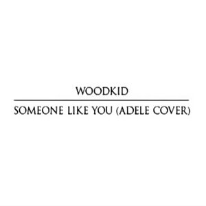 Someone like you (Adele Cover)