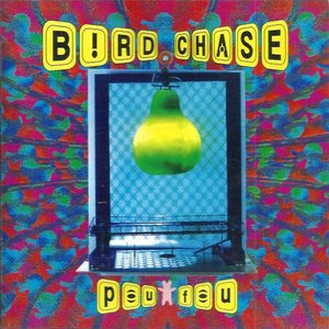 BIRD CHASE