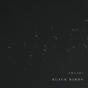 Black Birds