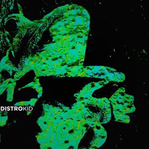 Morbid Osculation of a Decomposed Amphibians Corpse