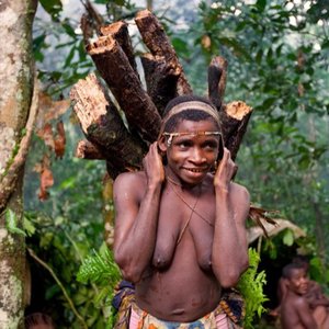 Bayaka Pygmies 的头像