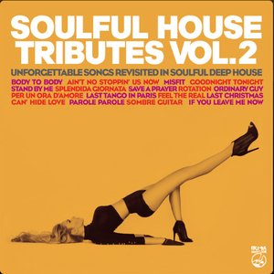 Soulful House Tributes Vol.2 (Unforgettablesongs Revisited Insoulful Deep House)