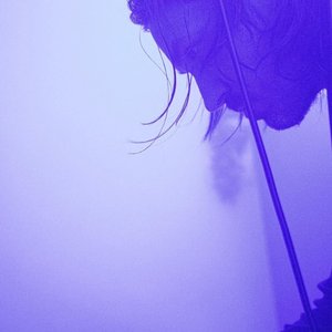 Avatar di DNA Music