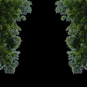 DXITY 的头像