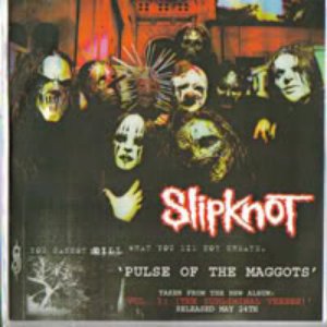 Slipknot гитарист. Pulse of the maggots. Slipknot гитарист. Майк томпсон слипкнот. Мик томсон.