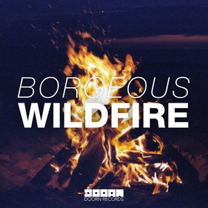 Wildfire - Single