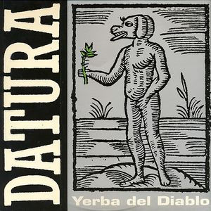 Datura - Yerba Del Diablo - Zortam Music