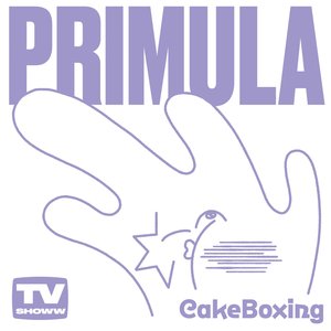 Cake Boxing