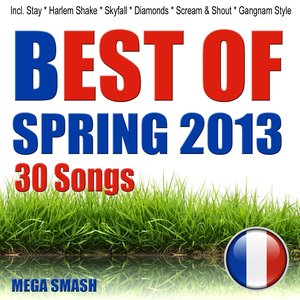 Best of Spring 2013 (Incl. Stay, Harlem Shake, Skyfall, Diamonds, Scream & Shout, Gangnam Style)