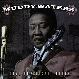 King of Chicago Blues