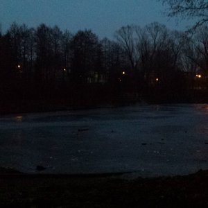 Snowdrowned
