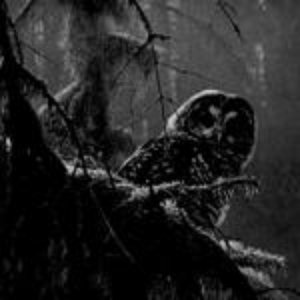 Strix