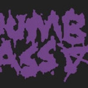 Dumb Ass 的头像