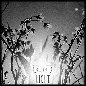 Licht