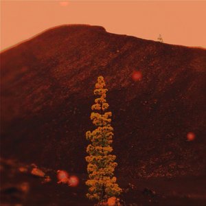 Hiding - Single