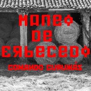 Maneo de Erbecedo