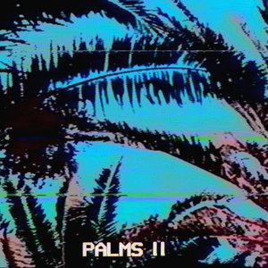 Image for 'P A L M S I I'