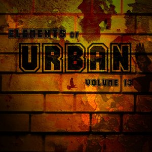 Elements Of Urban Vol.13