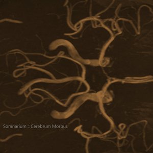 Cerebrum Morbus