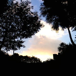自然音 - 瑞浪 - 蝉の声02 - Single