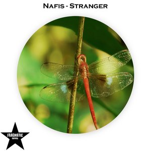 Stranger