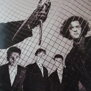 The Highlanders 的头像