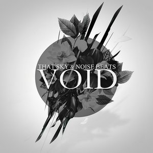 Void