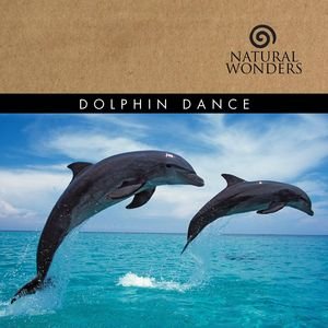 Dolphin Dance