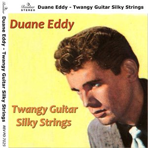 Twangy Guitar Silky Strings