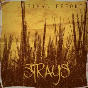 Strays