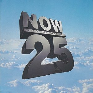Now That's What I Call Music 25