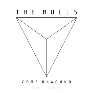 The Bulls 的头像