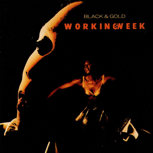 Black & Gold cover