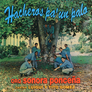 Hacheros pa' un palo cover