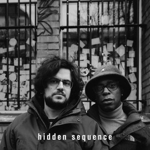 Hidden Sequence 的头像