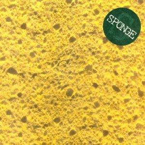 Sponge
