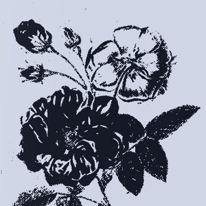 Nortmarsh 的头像