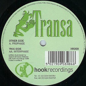 Prophase / Interphase