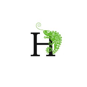 Hoxas 的头像