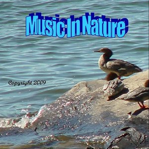 Music in Nature