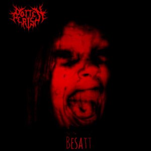 Besatt