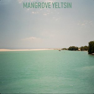 Mangrove Yeltsin 的头像