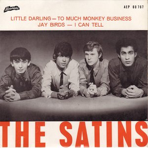 The Satins 的头像