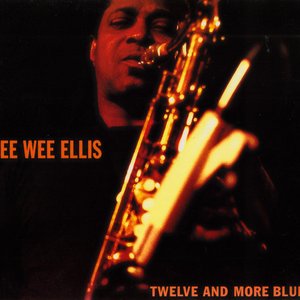 Twelve and more blues