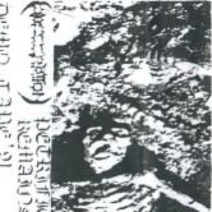 Petrified Remains