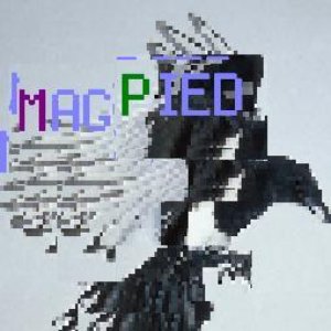 Magpied 的头像