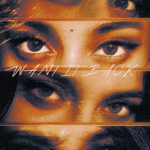 WANT IT BACK (JERSEY MIX BY PROD.SHUSHY)
