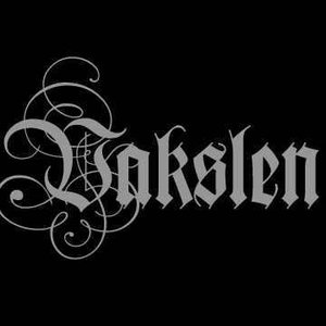 Vakslen 的头像